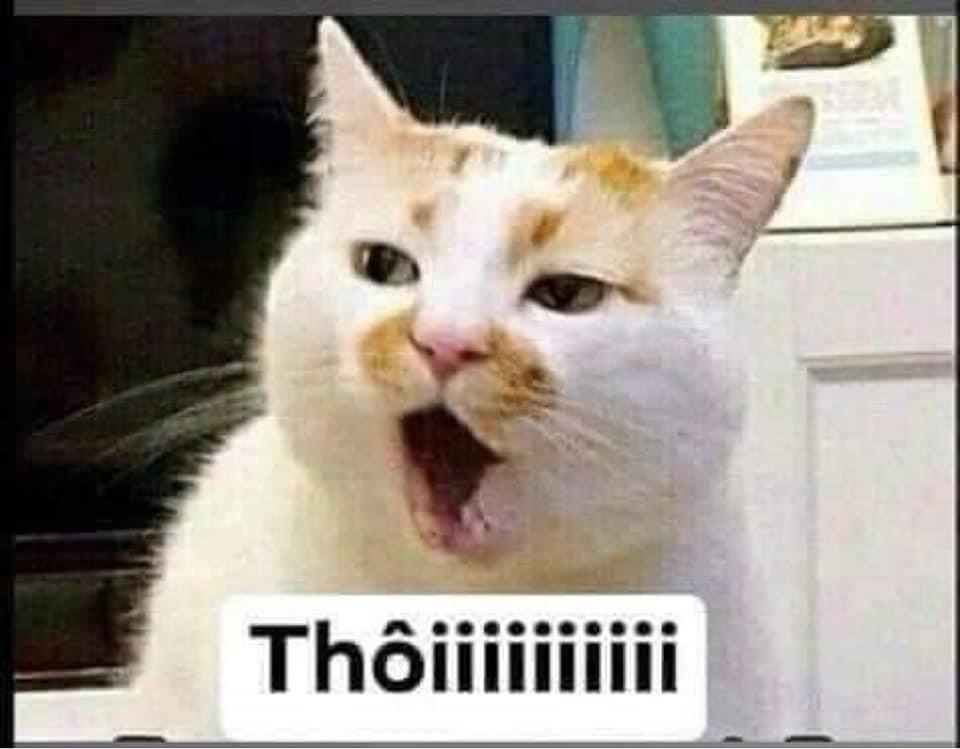 thoi