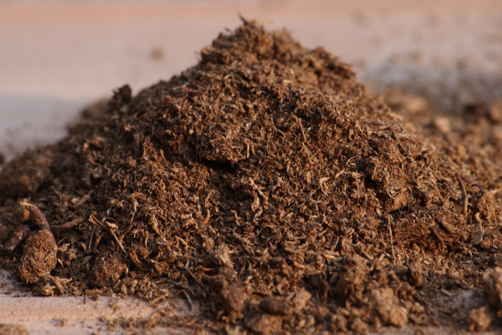 peat_moss